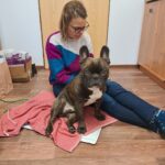 Obrázek WhatsApp, 2025-10-01 v 20.07.26_97b5b397