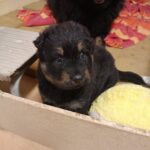 Obrázek WhatsApp, 2025-10-01 v 20.07.28_b93ff9bc