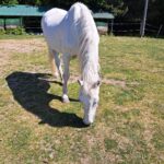 Obrázek WhatsApp, 2025-10-01 v 20.10.15_1df692d7