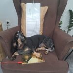 Obrázek WhatsApp, 2025-10-01 v 20.20.19_fdca3d59