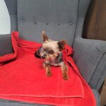 Obrázek WhatsApp, 2025-10-01 v 20.20.21_0f3f8c71