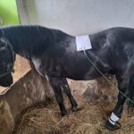 Obrázek WhatsApp, 2025-10-01 v 20.20.50_be87b26f