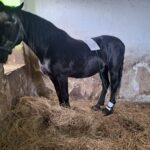 Obrázek WhatsApp, 2025-10-01 v 20.20.50_d75057fb