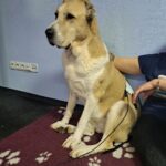 Obrázek WhatsApp, 2025-10-01 v 20.20.55_1c4ced7c