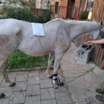 Obrázek WhatsApp, 2025-10-01 v 20.21.00_088d76b8