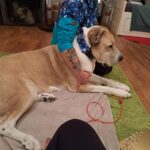 Obrázek WhatsApp, 2025-10-01 v 20.21.00_d92e702c