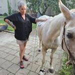 Obrázek WhatsApp, 2025-10-01 v 20.21.02_4f1917d0