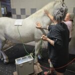 Obrázek WhatsApp, 2025-10-01 v 20.21.03_9eea8e34