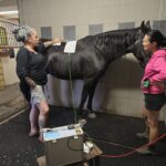 Obrázek WhatsApp, 2025-10-01 v 20.21.04_54d61ef9