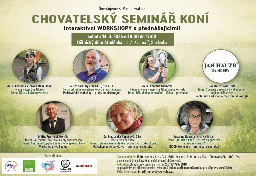 Pozvánka na seminář