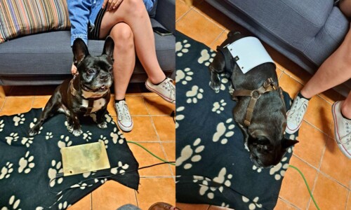 Biorezonance BICOM je citlivá, bezpečná a neinvazivní metoda komplementární medicíny, která doplňuje tradiční péči.